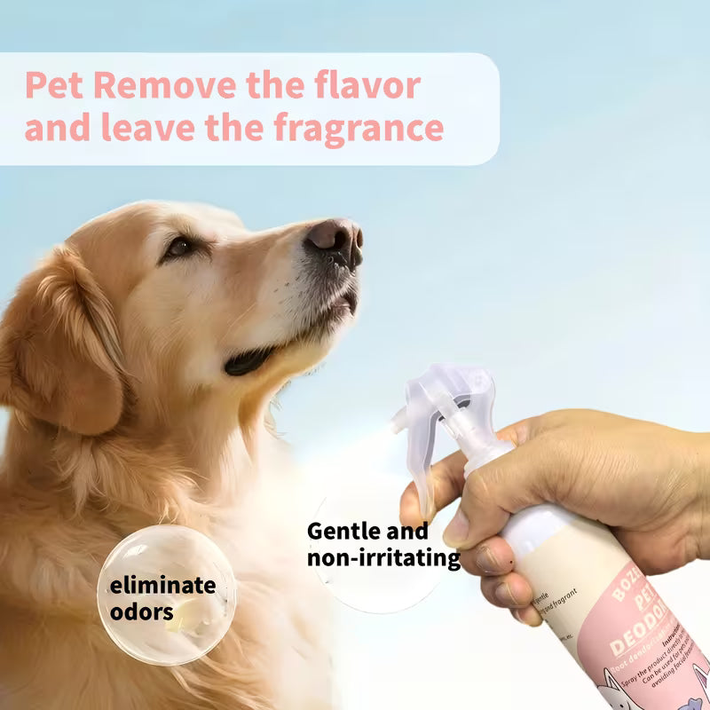 Pet Odor Removal Spray for Indoor Use