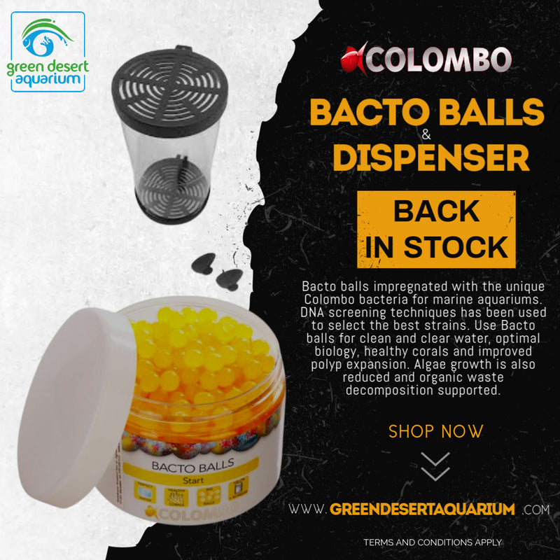 COLOMBO BACTO BALLS 500ML