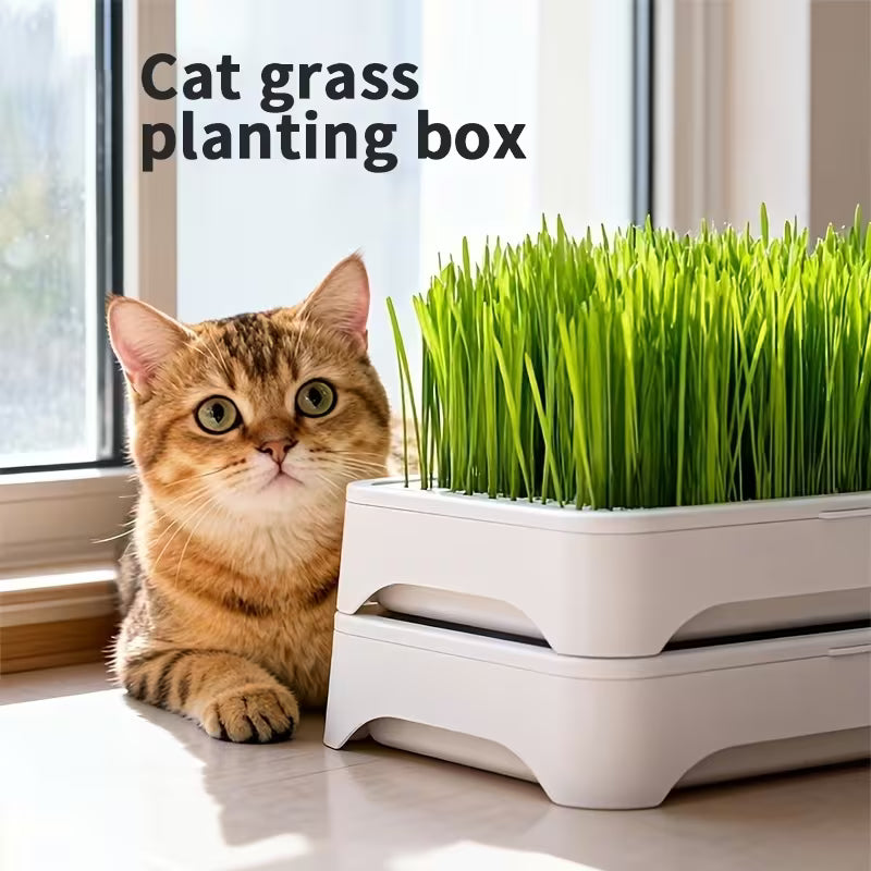 Cat Grass Planter