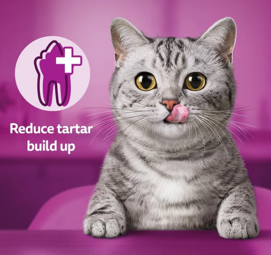 Whiskas DentaBites with Chicken Cat Treats