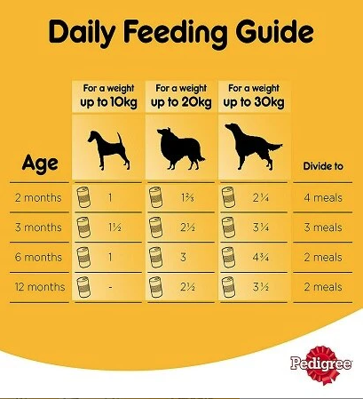 Pedigree Chicken Chunks in Gravy Wet Dog Food
