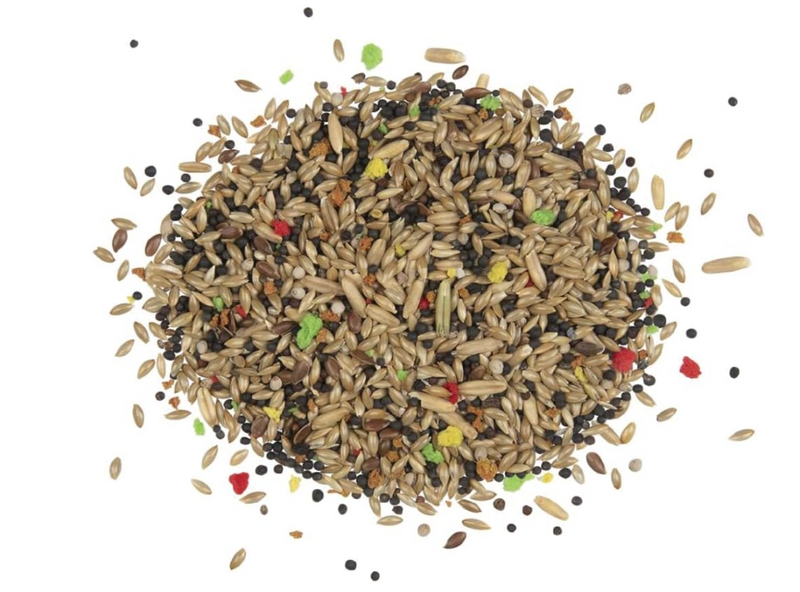 Volo Seedy Canary Mix – 350g