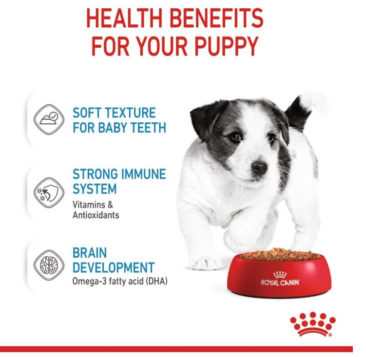 Royal Canin Size Health Nutrition Mini Puppy Wet Food Pouches  12 × 85g