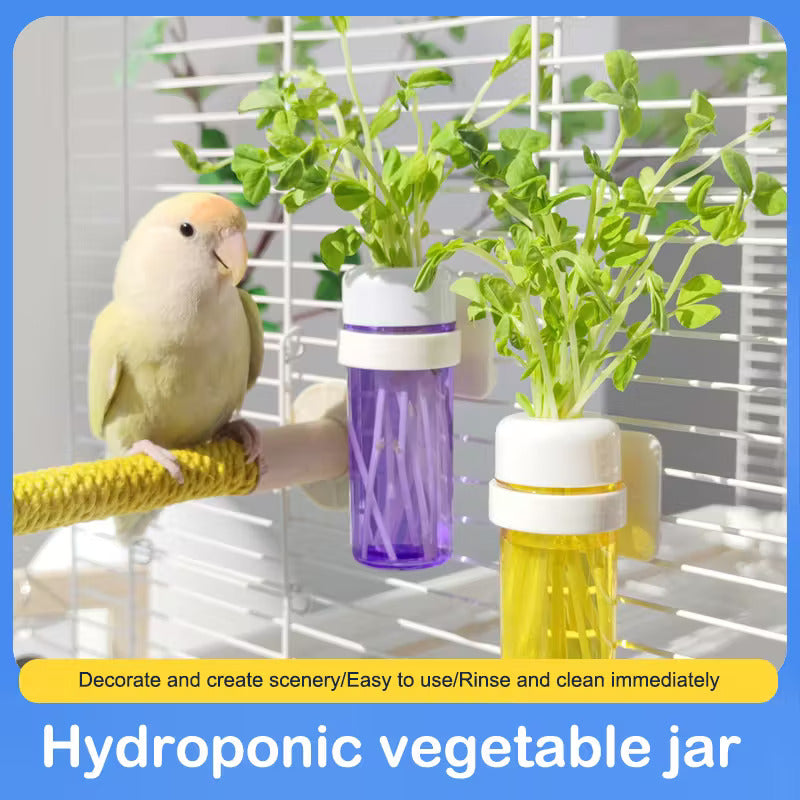 Feeding Cage Container