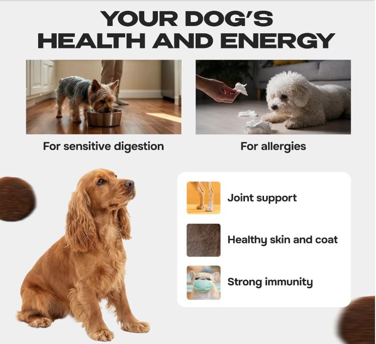 Cosmodog Duck Grain Free Small Breed Dry Dog Food