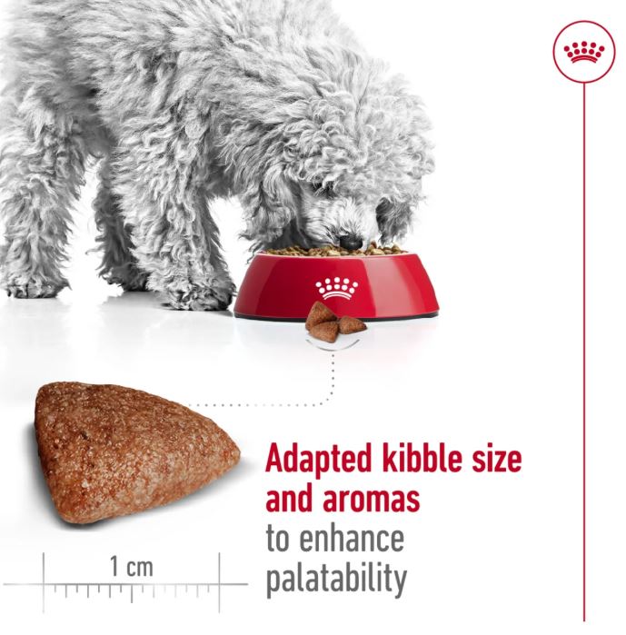 Royal Canin Size Health Nutrition Mini Indoor Adult 1.5kg