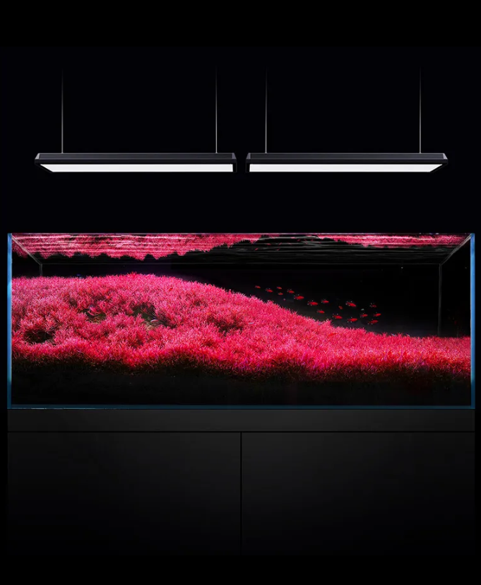 NETLEA - AT6 Pro 160W