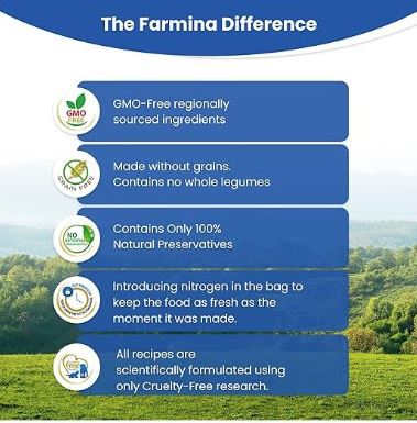 Farmina N&D Chicken and Pomegranate Adult Dry Cat Food 300g