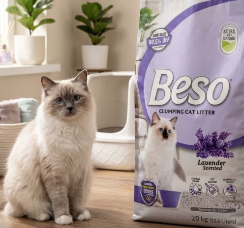 Beso Clumping Cat Litter Lavender Scented Cat Litter – 20kg
