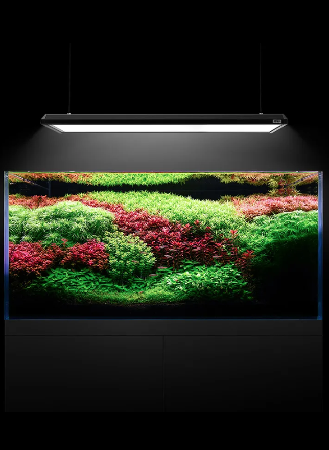 NETLEA -  AT5 Aquarium Light