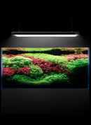 NETLEA -  AT5 Aquarium Light
