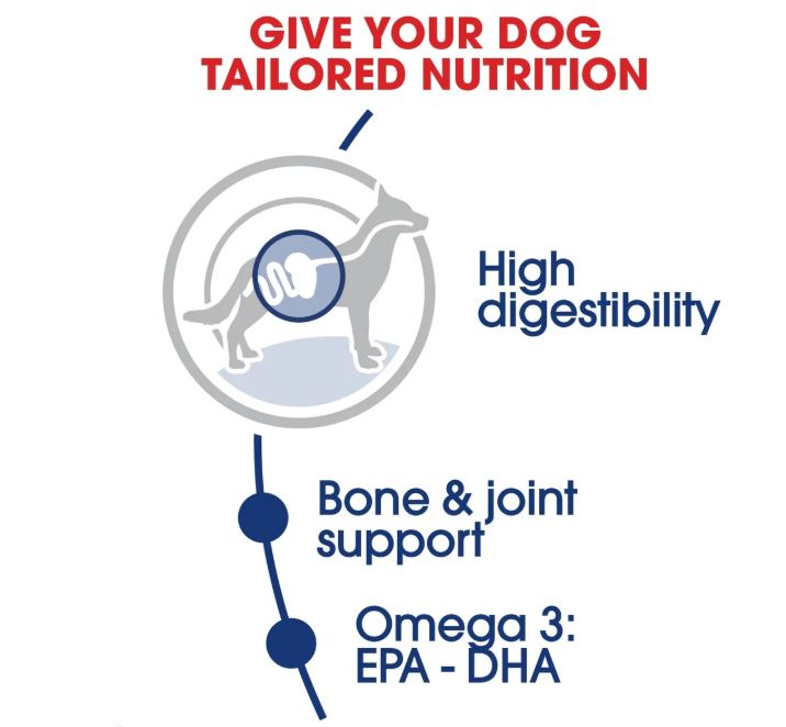 Royal Canin Size Health Nutrition Maxi Adult Dry Dog Food