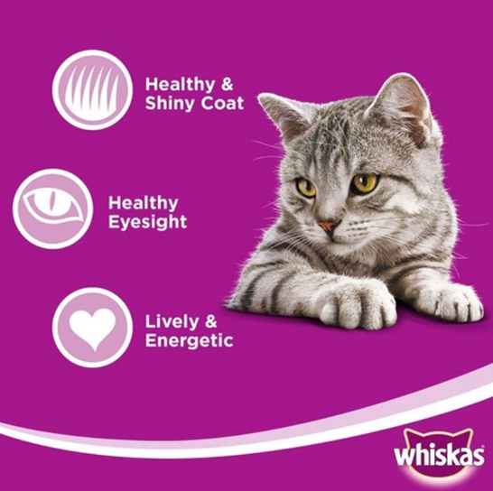 Whiskas Mince Lamb Turkey & Vegetable in Gravy Adult Cat Food  400g