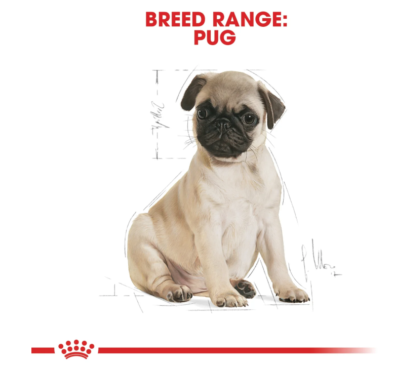 Royal Canin Breed Health Nutrition Pug Puppy  1.5kg