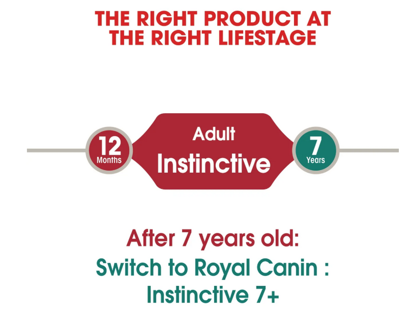 Royal Canin Feline Health Nutrition Instinctive Jelly  12 × 85g