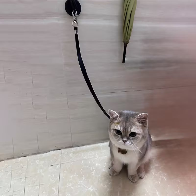 Pet Bath Holder with Suction Cup and Lifting Rope