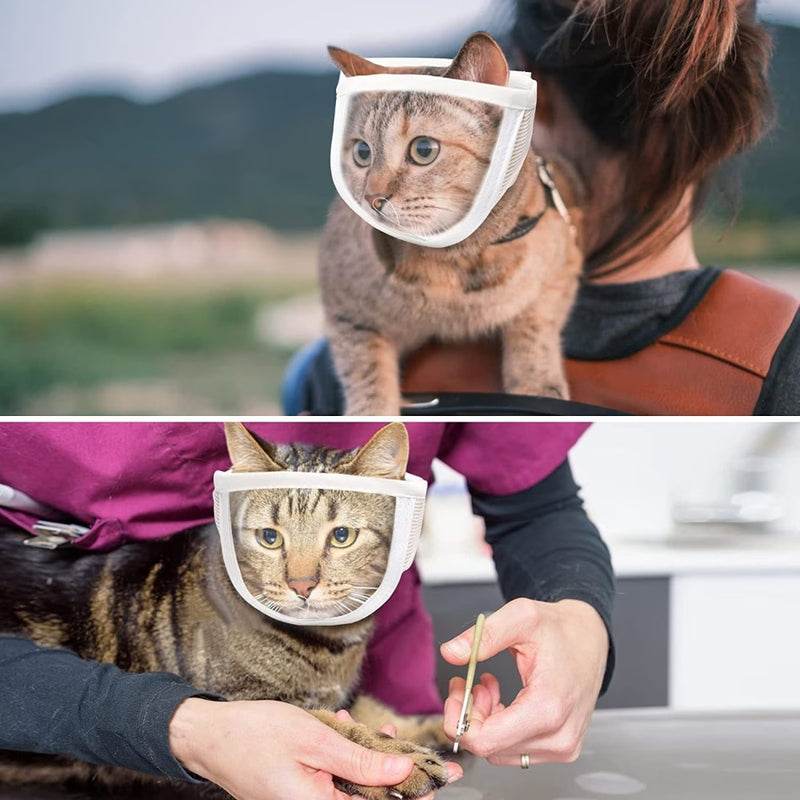 Pet Transparent Eye Mask