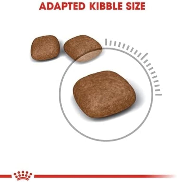 Royal Canin Feline Care Nutrition Urinary Care