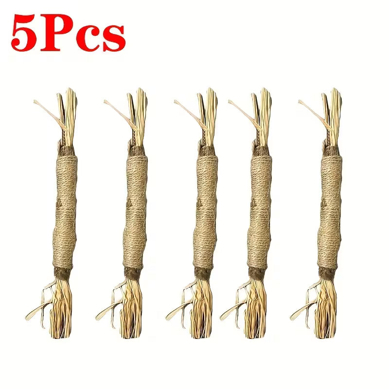 Cat Molar Chewing Toy Set