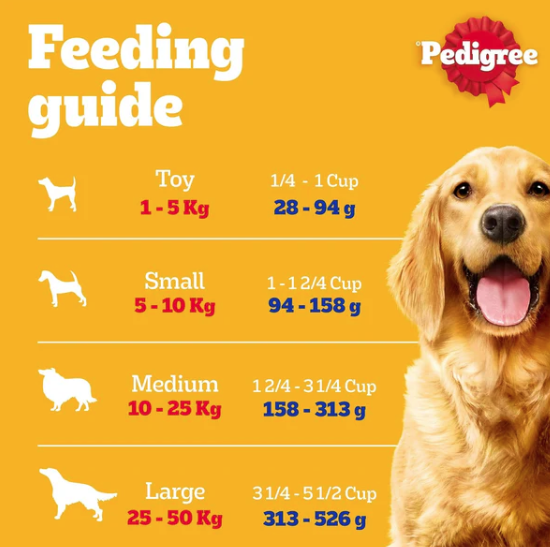 Pedigree Chicken and Vegetables Adult Dry Dog Food