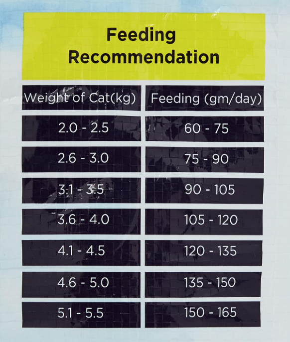 Charmie Adult Dry Cat Food Tuna & Chicken Flavor 1+   10kg