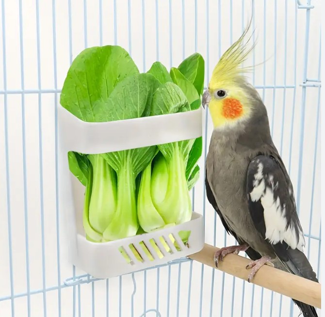 Bird Fruit and Vegetable Feeder Bowl