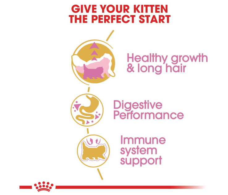Royal Canin Feline Breed Nutrition Persian Kitten Dry Food