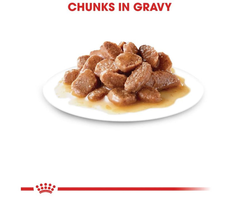 Royal Canin Feline Health Nutrition Sterilised in Gravy  12 × 85g