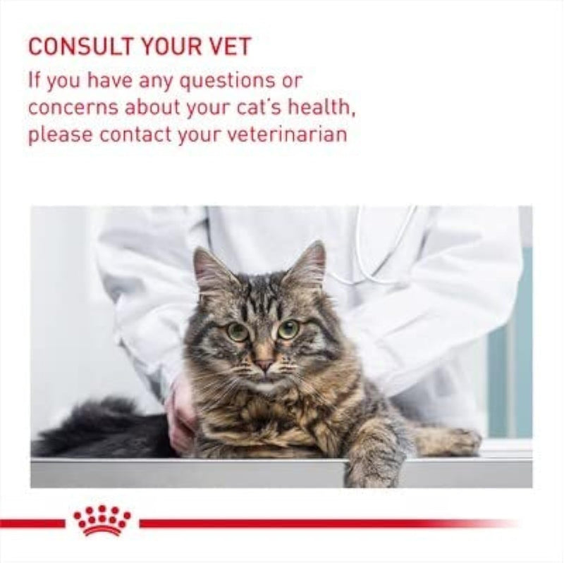 Royal Canin Feline Care Nutrition Digestive Care