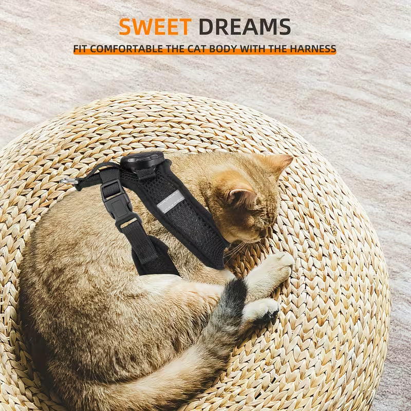 Cat Harness and Leash Set with Airtag Holder