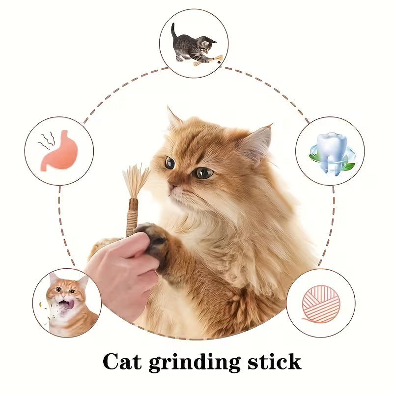Cat Molar Chewing Toy Set
