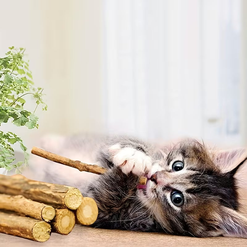 Biting Sticks for Kittens and Adult Cats