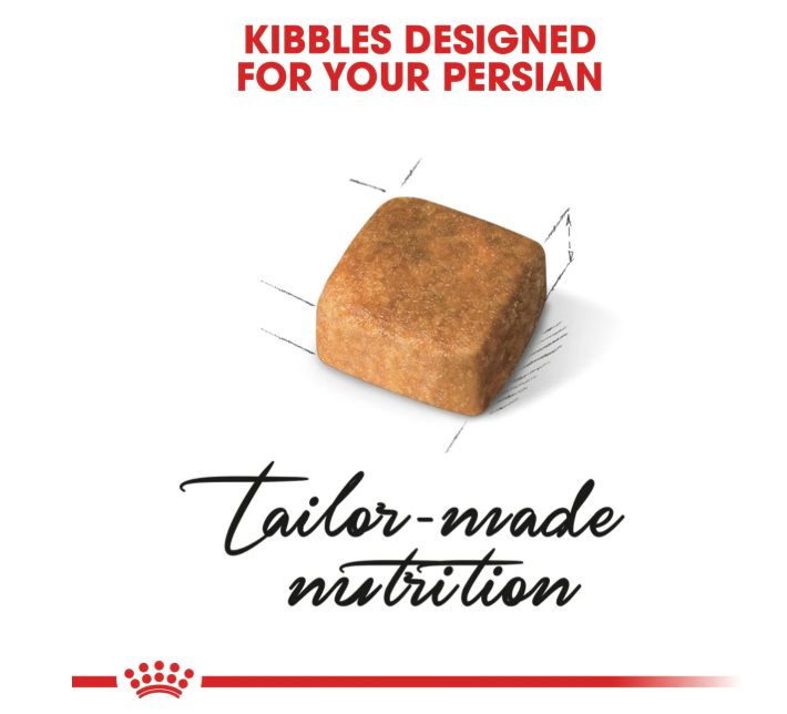 Royal Canin Feline Breed Nutrition Persian Kitten Dry Food