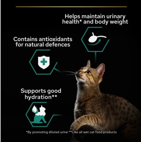 PURINA PRO PLAN Sterilised Adult Wet Cat Food Chicken in Gravy  26 × 85g