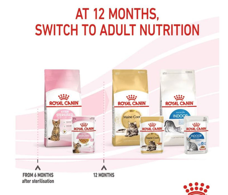 Royal Canin Feline Health Nutrition Sterilised Kitten Jelly  12 × 85g
