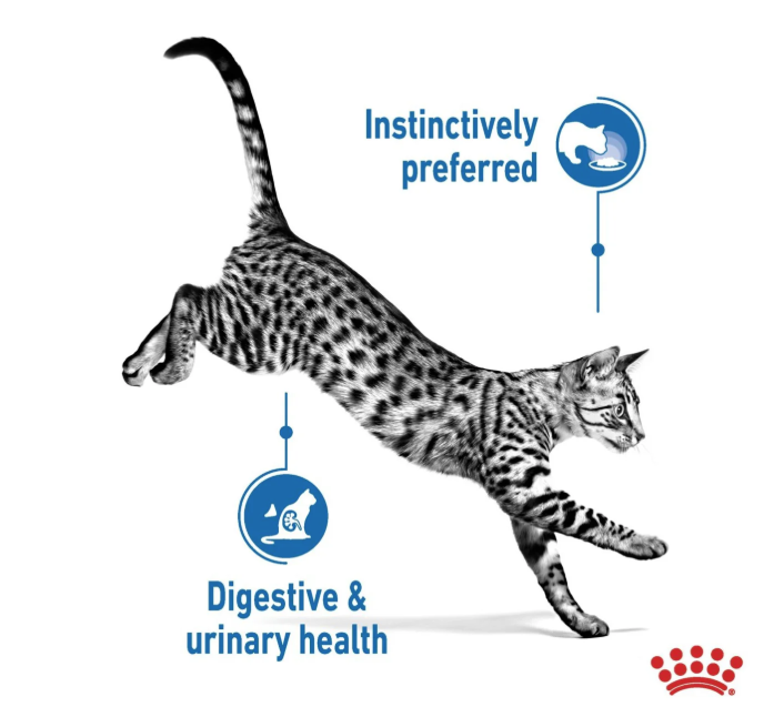 Royal Canin Feline Health Nutrition Indoor Sterilised Jelly Wet Cat Food 12 x 85g
