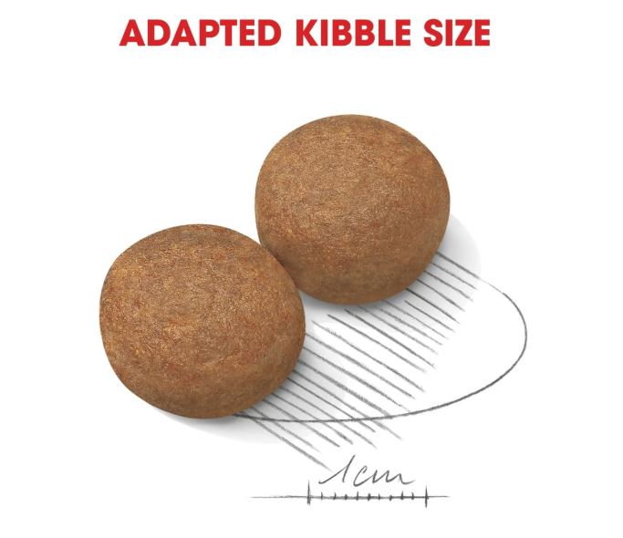 Royal Canin Size Health Nutrition Maxi Adult Dry Dog Food
