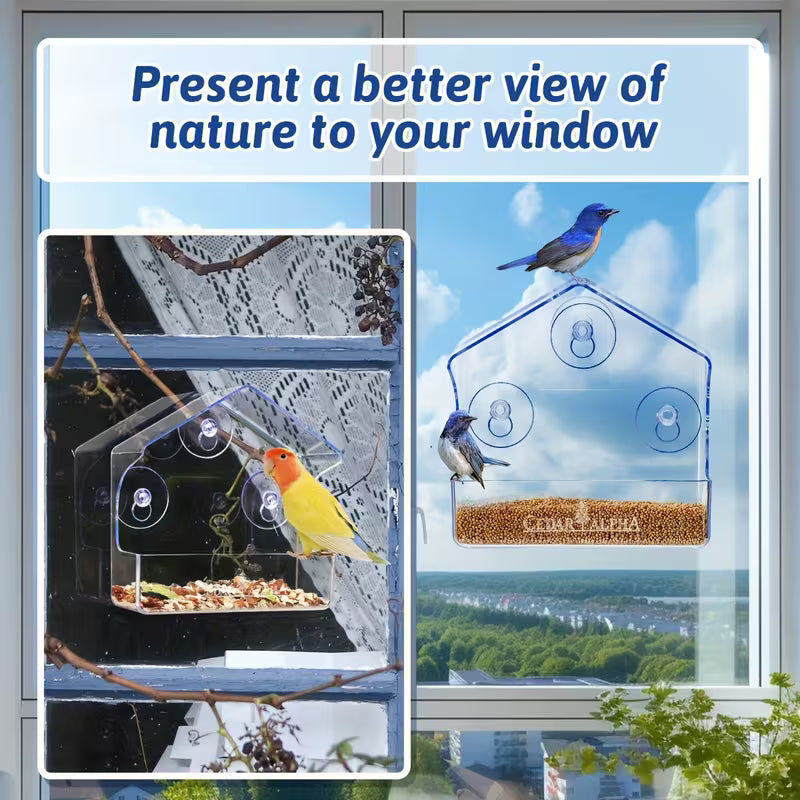 Outside Clear Plastic Window Bird Feeder