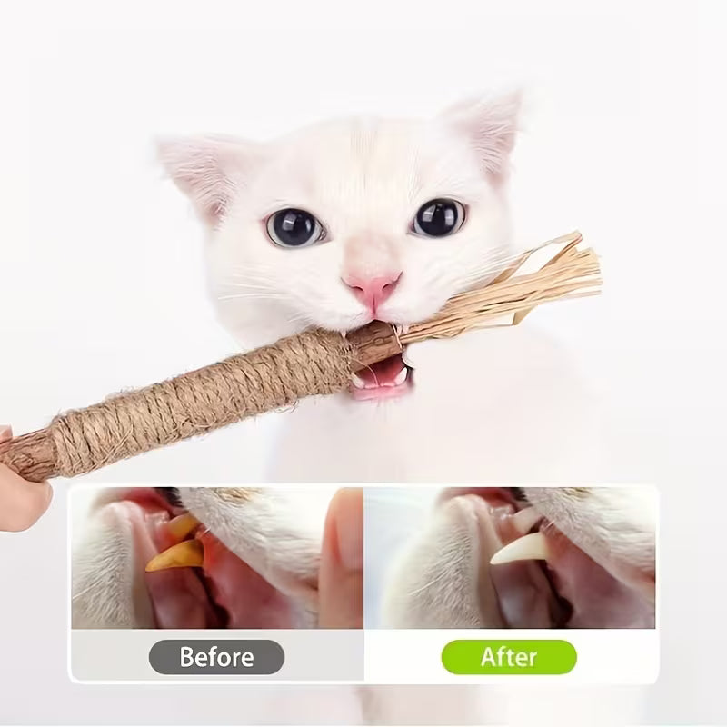 Cat Molar Chewing Toy Set