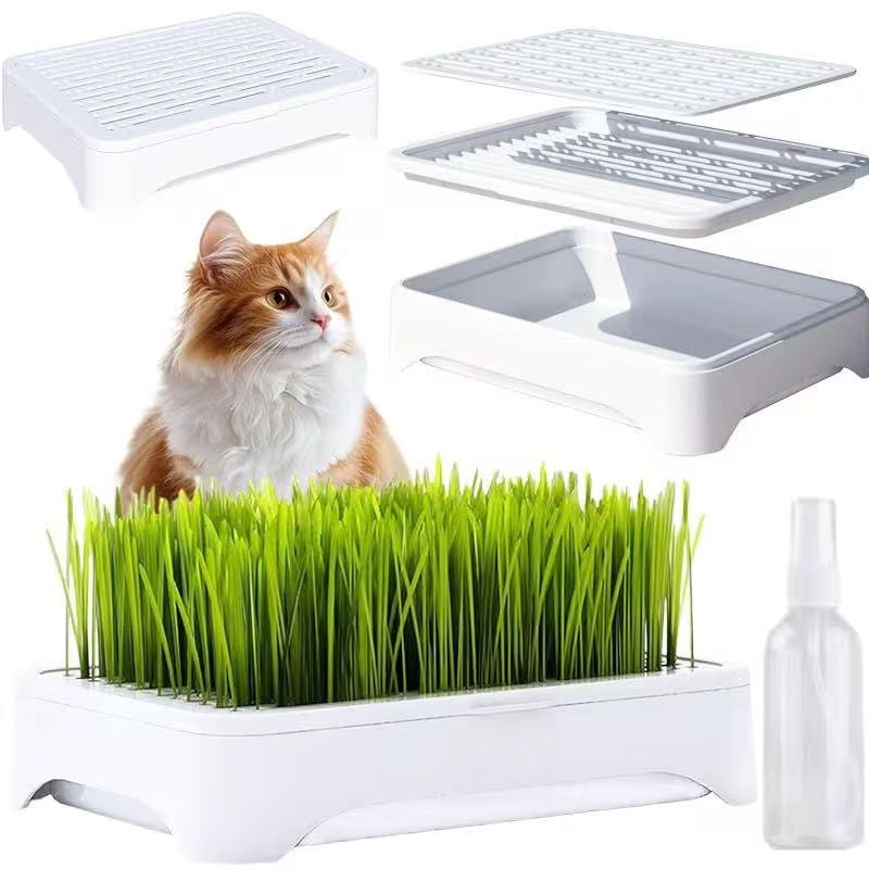 Cat Grass Planter
