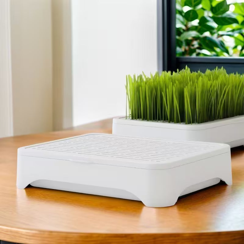 Cat Grass Planter
