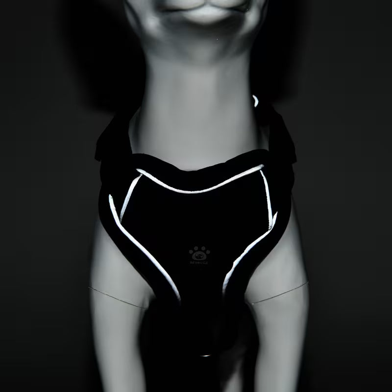 Escape-Proof Cat Harness and Leash Set