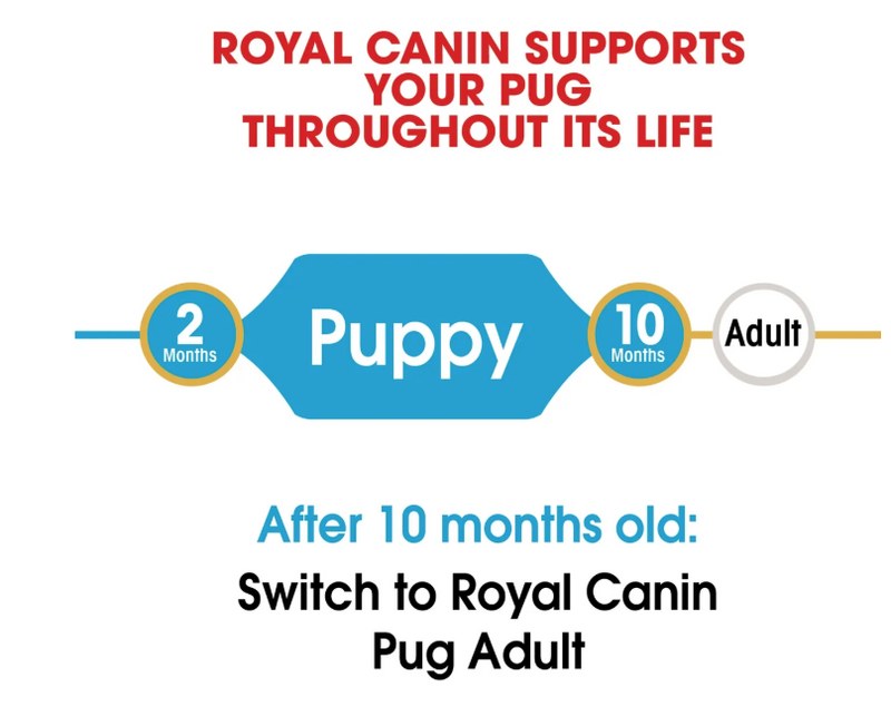 Royal Canin Breed Health Nutrition Pug Puppy  1.5kg