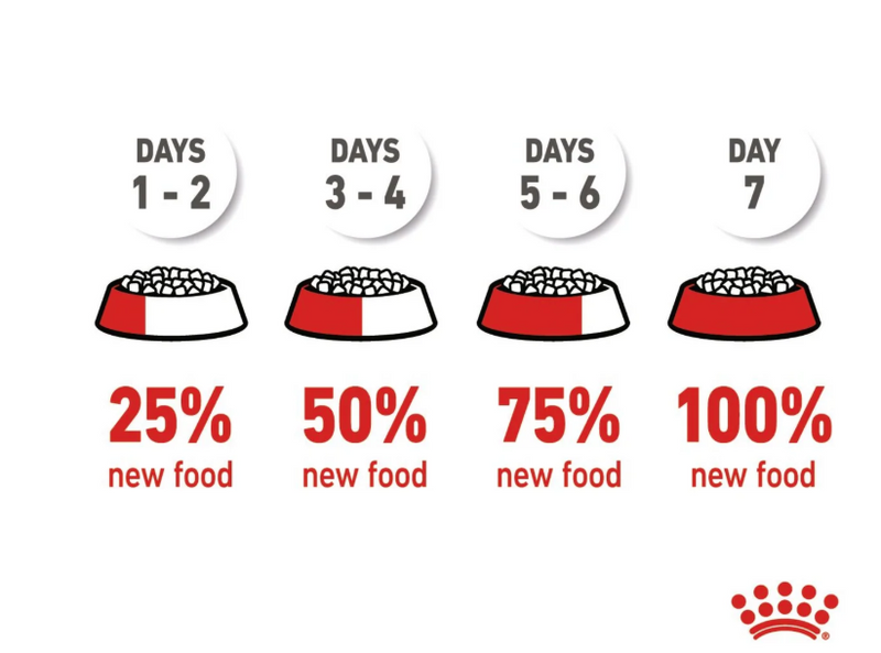 Royal Canin Feline Health Nutrition Kitten Dry Cat Food