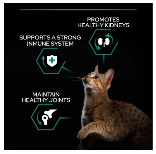 PURINA PRO PLAN Adult Renal Plus Everyday Dry Cat Food with Chicken – 1.5kg