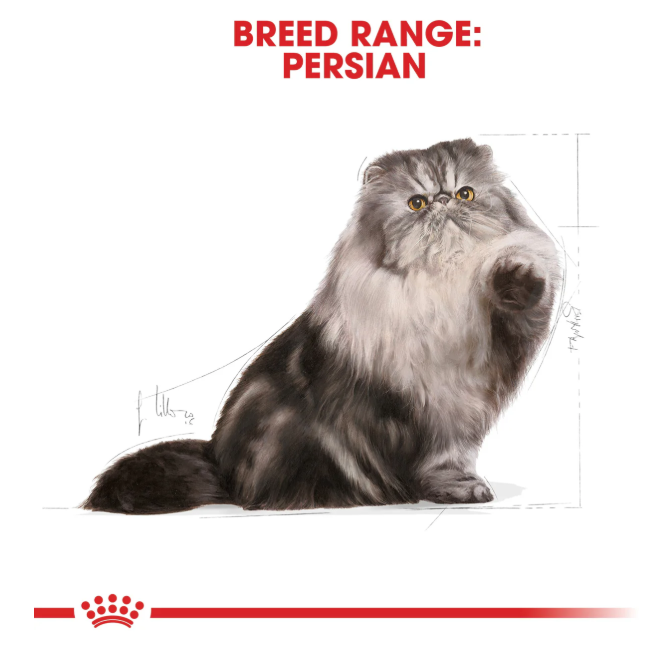 Royal Canin Feline Breed Nutrition Persian Adult Dry Cat Food 2kg