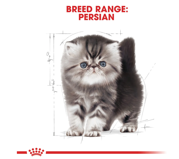 Royal Canin Feline Breed Nutrition Persian Kitten Dry Food