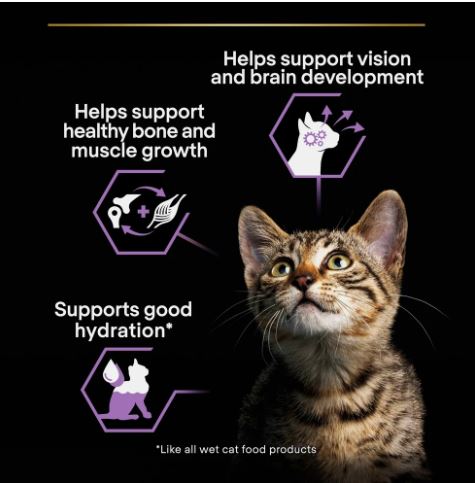 PURINA PRO PLAN Kitten Wet Cat Food Turkey in Gravy  26 × 85g