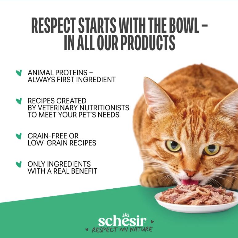 Schesir Snax Crunchy & Creamy Salmon Cat Snack 60g