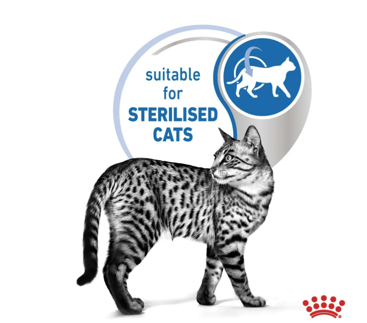Royal Canin Feline Health Nutrition Indoor Sterilised Jelly Wet Cat Food 12 x 85g